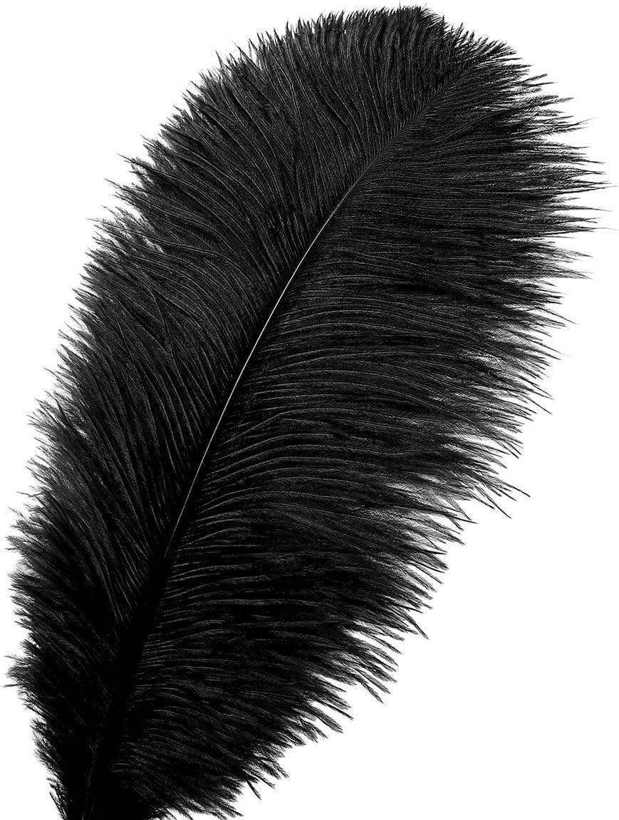 24pcs Natural Black Ostrich Feathers 10-12inch (25-30cm) for Wedding Party Centerpieces，Flower Arrangement and Home Decoration.