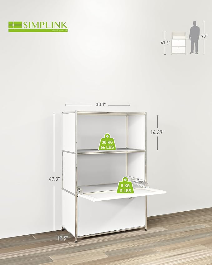 Metal Shelf with 2 Flap Doors, Large Capacity Cabinet, DIY Modern Home - Image 3