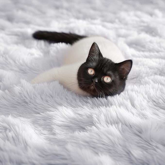 PAGISOFE Soft Comfy White Area Rugs - Image 7