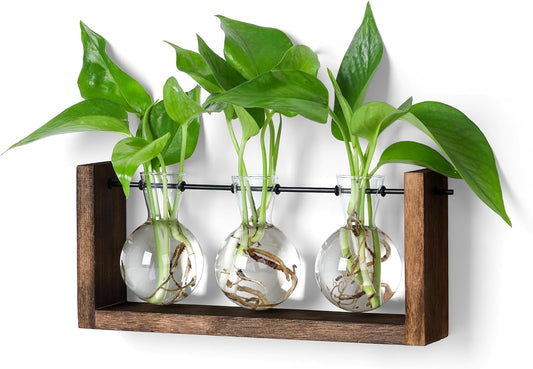 YIBOT Plants Propagation Stations,Plant Terrarium with Wooden Stand Wall Hanging Glass Planter Plant Propagation Vase for Indoor Office Home Garden Decor Plant Lover Gifts for Women