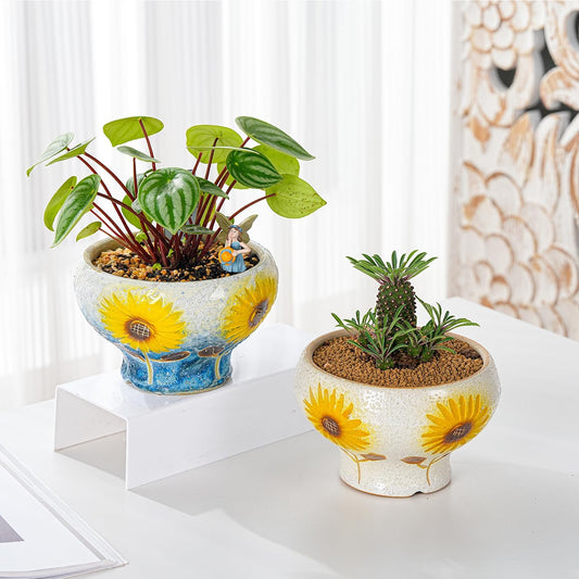 Sungmor Small Succulent Planters Set of 2, Beautiful Hand Crafted Ceramic Plant Pots Cute Cactus Pot, 6.5 Inch Flower Pots for Indoor Plants with Drainage, Desktop Windowsill Home Office Decor Pots