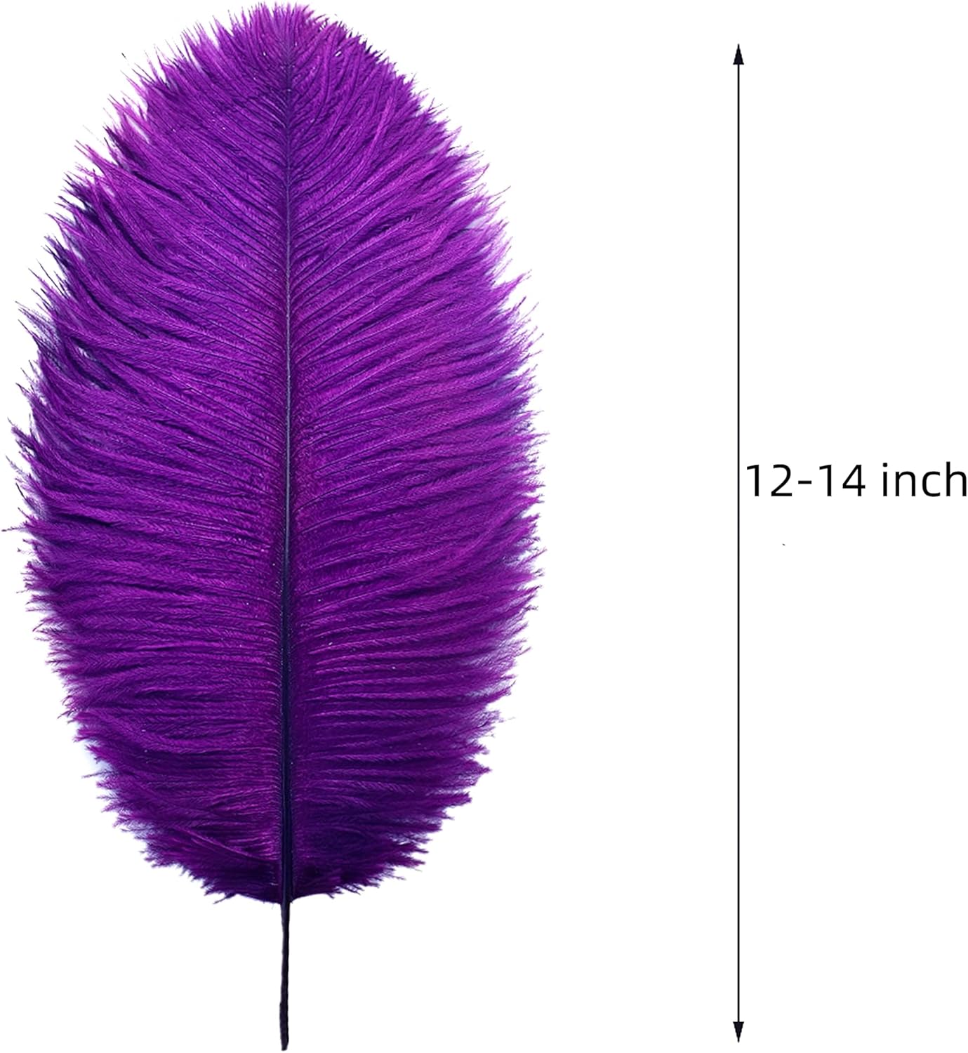 Ballinger Purple Ostrich Feathers Bulk - 24Pcs 12-14inch Big Feathers for Vase, Party Centerpieces Mardi Gras and Home Decor