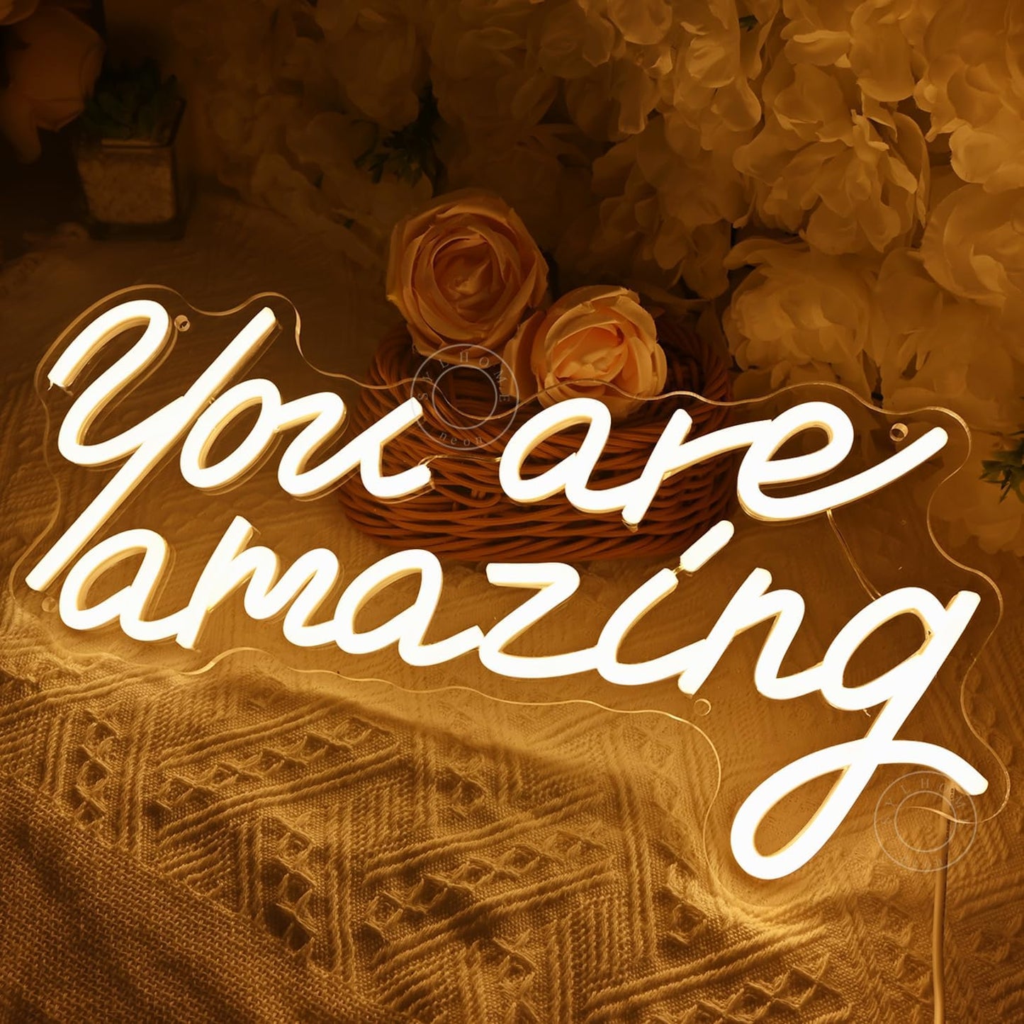 SYLHOME You Are Amazing Led Neon Light Sign Girls Bedroom Kids Room Wall Decor Sign Wedding Birthday Christmas Graduation Party Sign Student USB 15.75" X 8.94" Warm