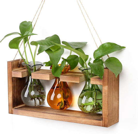 Plant Propagation Station Plant Terrarium Unique Birthday Gifts for Women Home Office Decor Planter with Wooden Stand - 3 Bulb Glass Vase