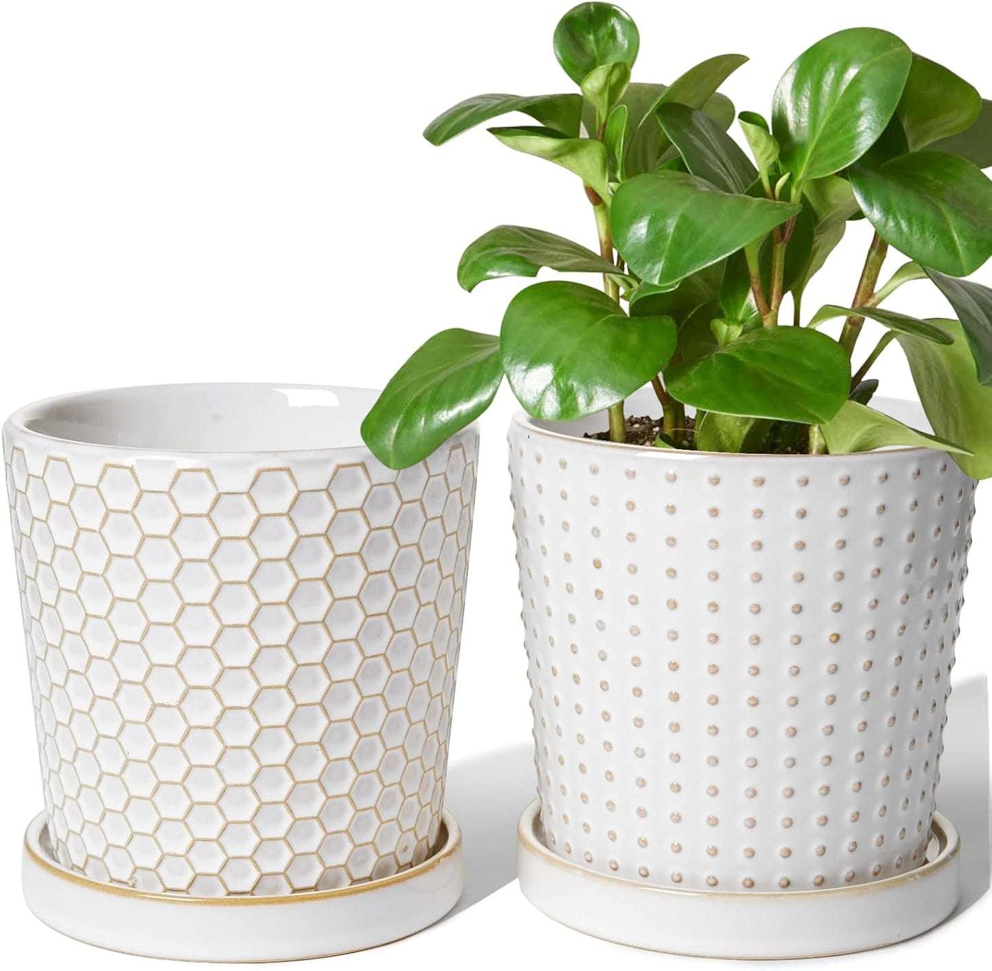 LE TAUCI Ceramic Plant Pots, 5.4 Inch Pots for Indoor Plants, Planters with Drainage Hole and Saucer, Flower Pots for Succulent, Snake Plants and Cactus, Set of 2, Reactive Glaze White