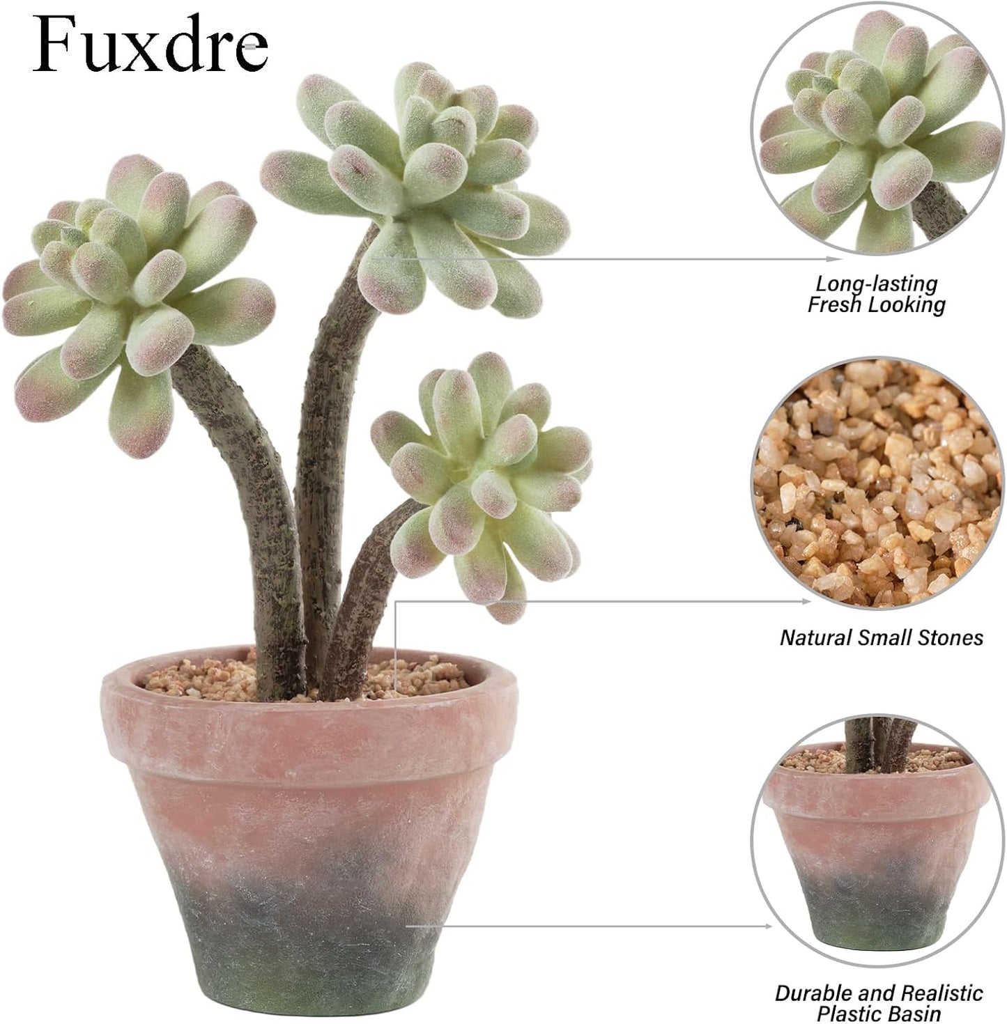 2-Pack Artificial Succulent Plants in Vintage Plastic Pots - Waterproof Fake Succulents Decor for Home, Office, Desk - Low Maintenance Indoor Plants for Bathroom, Shelf, Table Decor