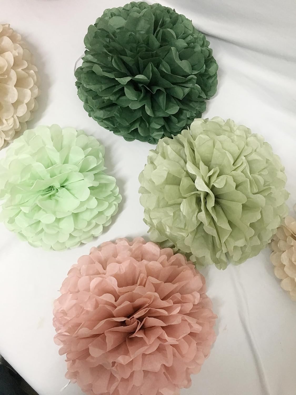 Tissue Paper Pom Poms Kit Paper Flowers 12pieces for Gender Baby Shower Wedding Bridal Bachelorette Birthday Party Decorations (Boho Green + Dusty Pink)