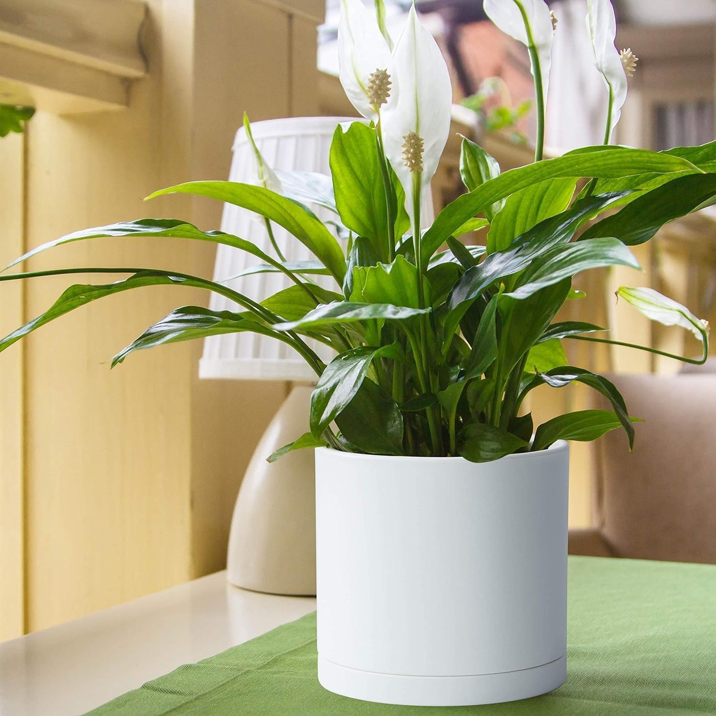 D'vine Dev 2 Pack 8 Inch Modern Plastic Plant Pots, Cylindrical Garden Planters for Plants with Drainage Holes and Saucers, White, 74-Z-M-1