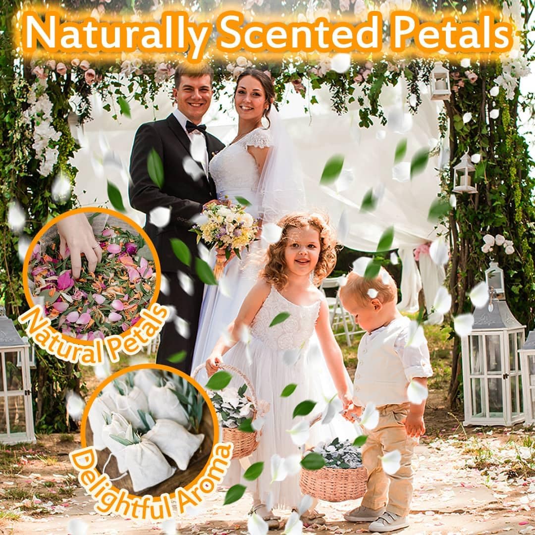 Real Dried Ivory White Hydrangea Flower & Eucalyptus Petals - 3000+ Natural Fragrant Confetti for Wedding, Flower Girl Baskets, Aisle Decor, Scented Sachets, Spring Potpourri Bags, Air Freshener