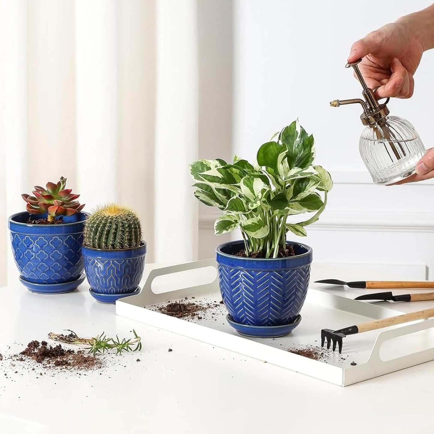 Sureasy Succulent Pots, 3.5 Inch Flower Pots for Indoor Plants, Small Plant Pots with Saucer & Drainage, Decorative Ceramic Planters for Succulent, Cactus, Set of 4, Blue