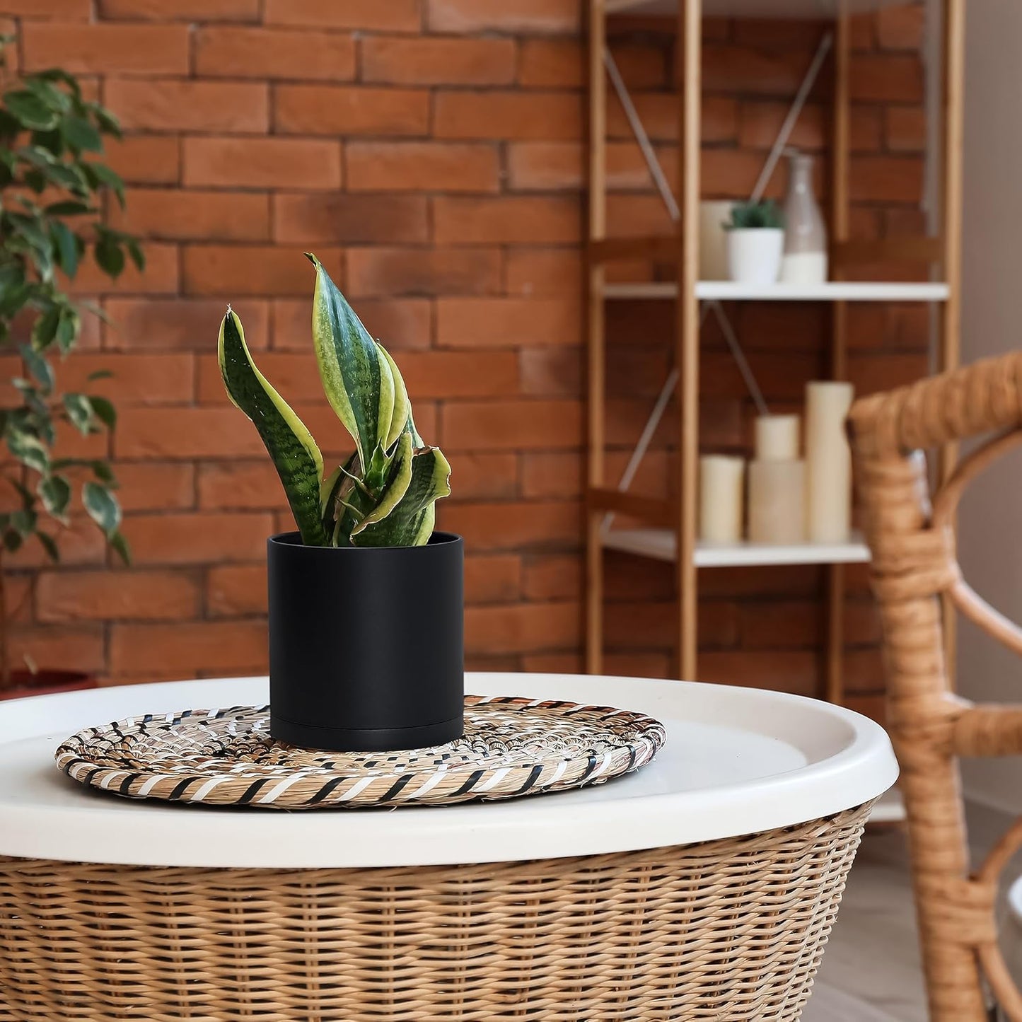 D'vine Dev 2 Pack 6 Inch Modern Plastic Plant Pots, Small Garden Planters for Plant with Drainage Holes and Saucers, Black Color, 74-Y-J-1