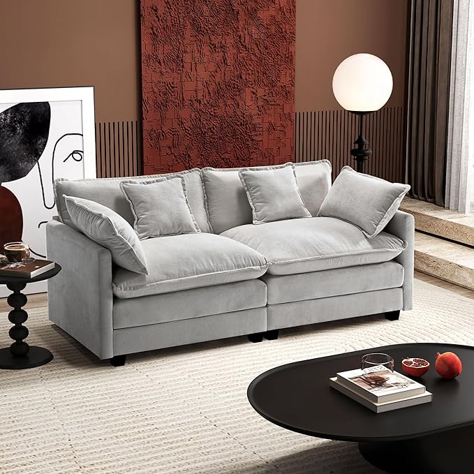 Ihanherry Cloud Sofa 77 Inch Loveseat, Modern Sectional Couch, 2-Seats Sofa by iHanHerry