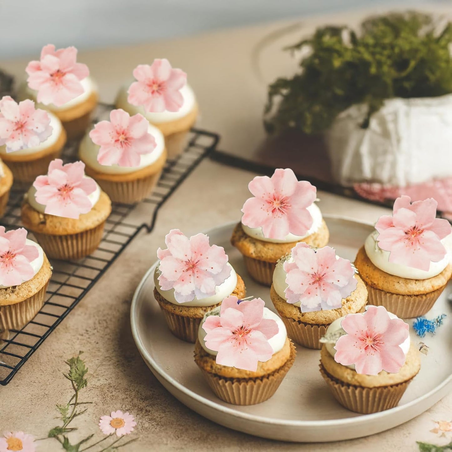 Ephlyn 54Pcs Edible Cherry blossom Cupcake Toppers Spring Bridal Engagement Baby Shower Birthday Party Cupcake Picks Anniversary Party Decorations Supplies Pink