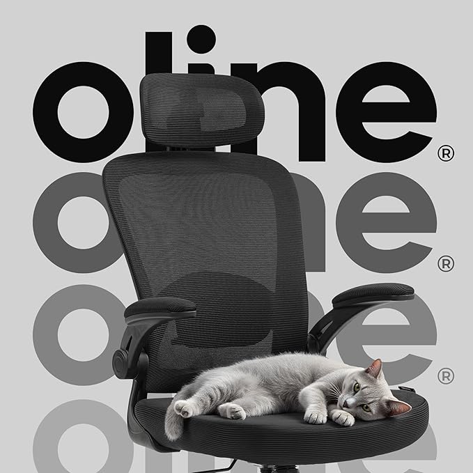 Oline ErgoAir Ergonomic Office Chair – Adjustable Lumbar Support, Flip-Up - Image 8