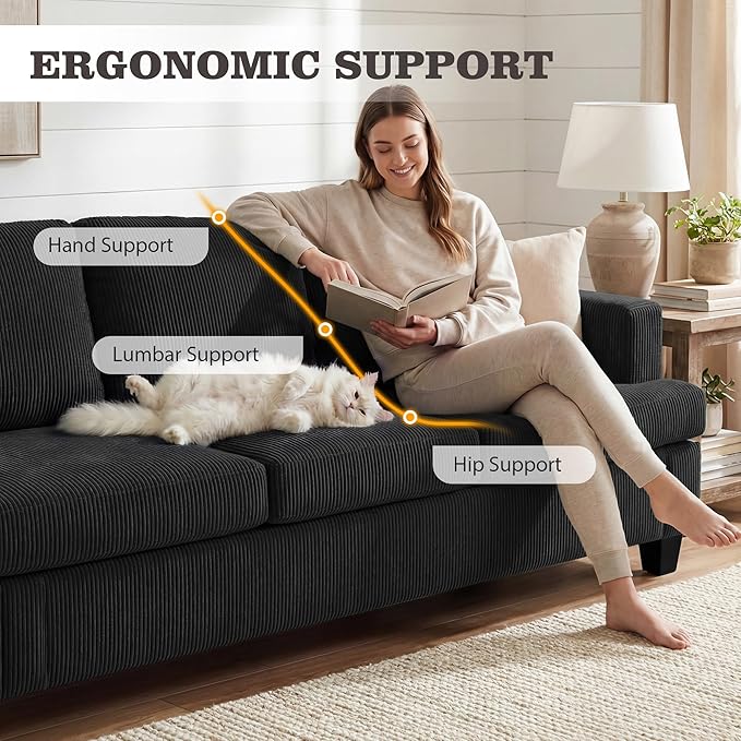 Apicizon Loveseat & 3 Seater Sofa Sets, 2 Piece Modern Sleeper Sofa - Image 8