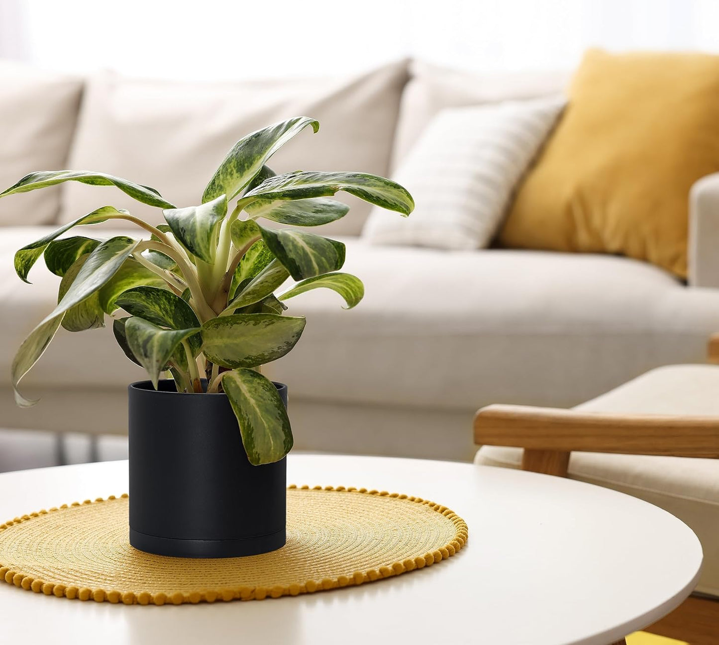 D'vine Dev 2 Pack 6 Inch Modern Plastic Plant Pots, Small Garden Planters for Plant with Drainage Holes and Saucers, Black Color, 74-Y-J-1