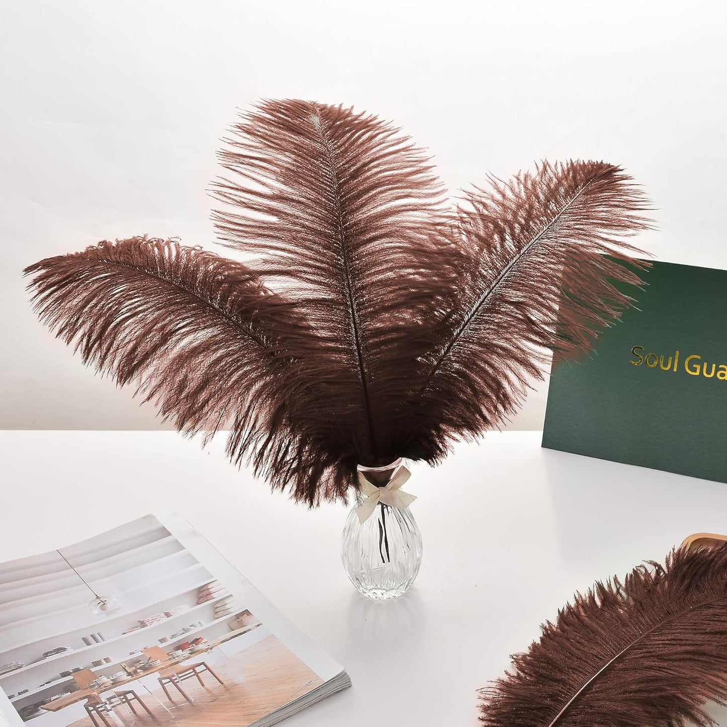Ballinger Brown Big Ostrich Feathers - 24pcs 12-14inch Large Feathers for Party Centerpieces, Flower Arrangement and Home Decor