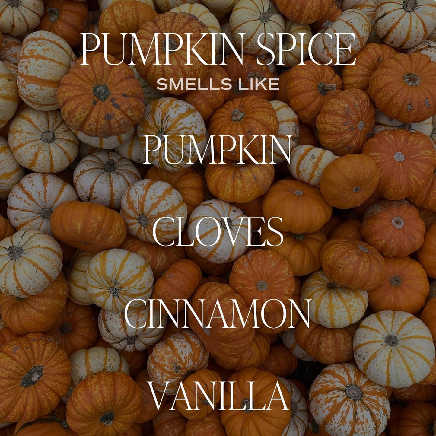 Sweet Water Decor Pumpkin Spice Candle - Fall Candles with Pumpkin, Clover, Cinnamon & Vanilla Scent for Home - Autumn Candle with 40 Hours Burn Time - 9Oz Gold Lid Clear Jar Pumpkin Soy Candles