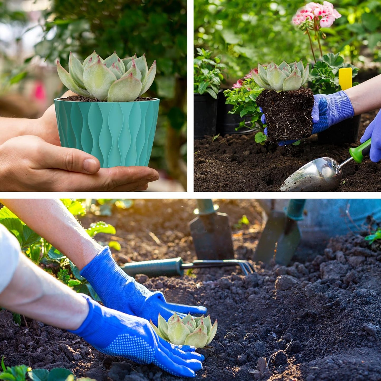 12 Pack 4 Inch Small Plant Pots with Saucers, Waffle Texture Plastic Planters with Drainage Holes for Indoor and Outdoor Plants, Flowers, Herbs, Succulents, and Seedlings, Blue