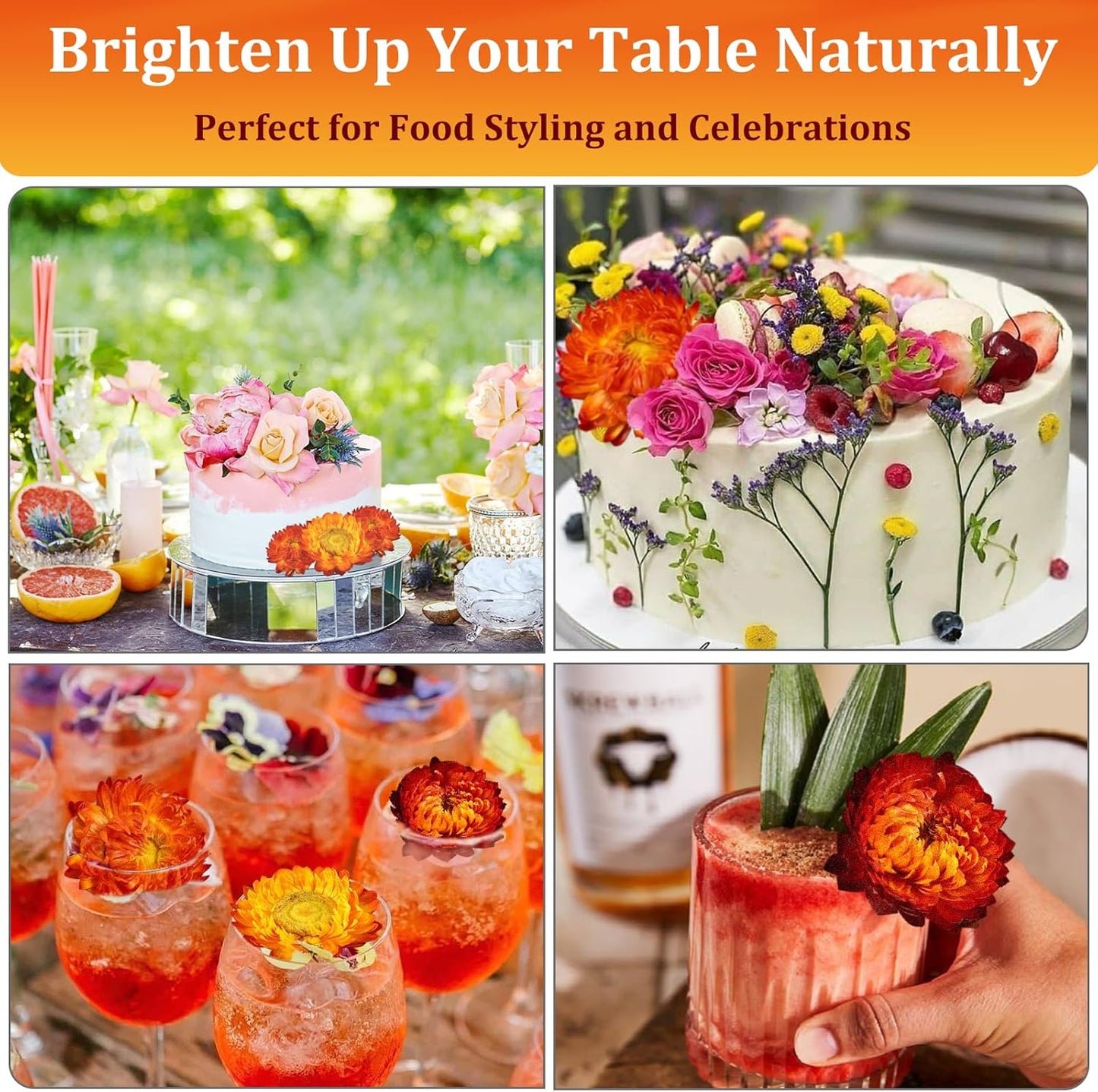 100+ Edible Dried Flowers for Cake Decoration – Food Grade Mixed Natural Colorful Chrysanthemum Flowers for Baking, Cocktails, Cupcakes, Drinks, DIY Crafts - No Additive