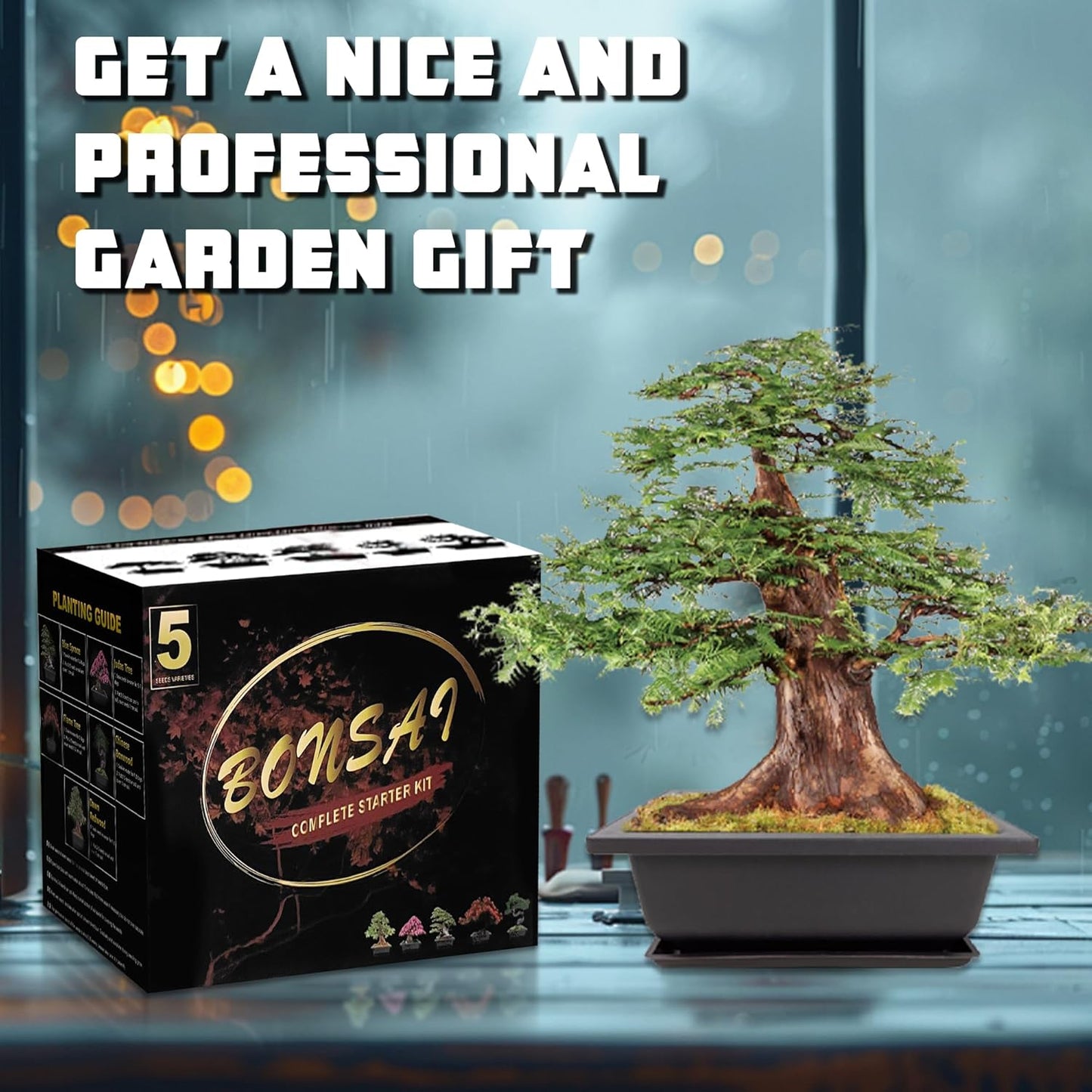 Bonsai Starter Kit, 5 Seeds Growing into Blue Spruce, Chinese Boxwood, Dawn Redwood, Flame Tree and Judas Tree, Including Complete Gardening Tools with A Gift Box, Christmas Gifts for Women