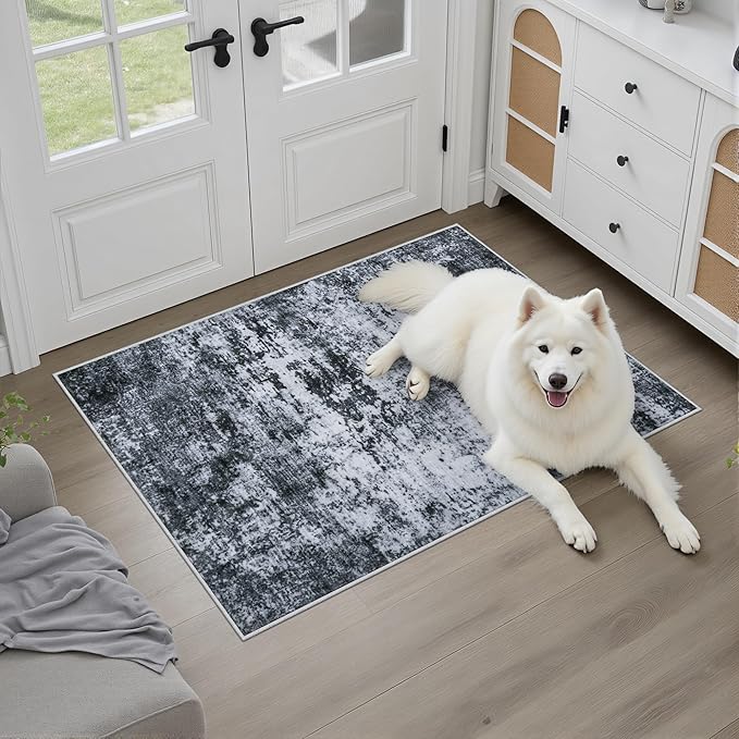 Washable Area Rug 2x3 Entryway Rug: Washable Modern Abstract Soft Thin Rug - Image 2