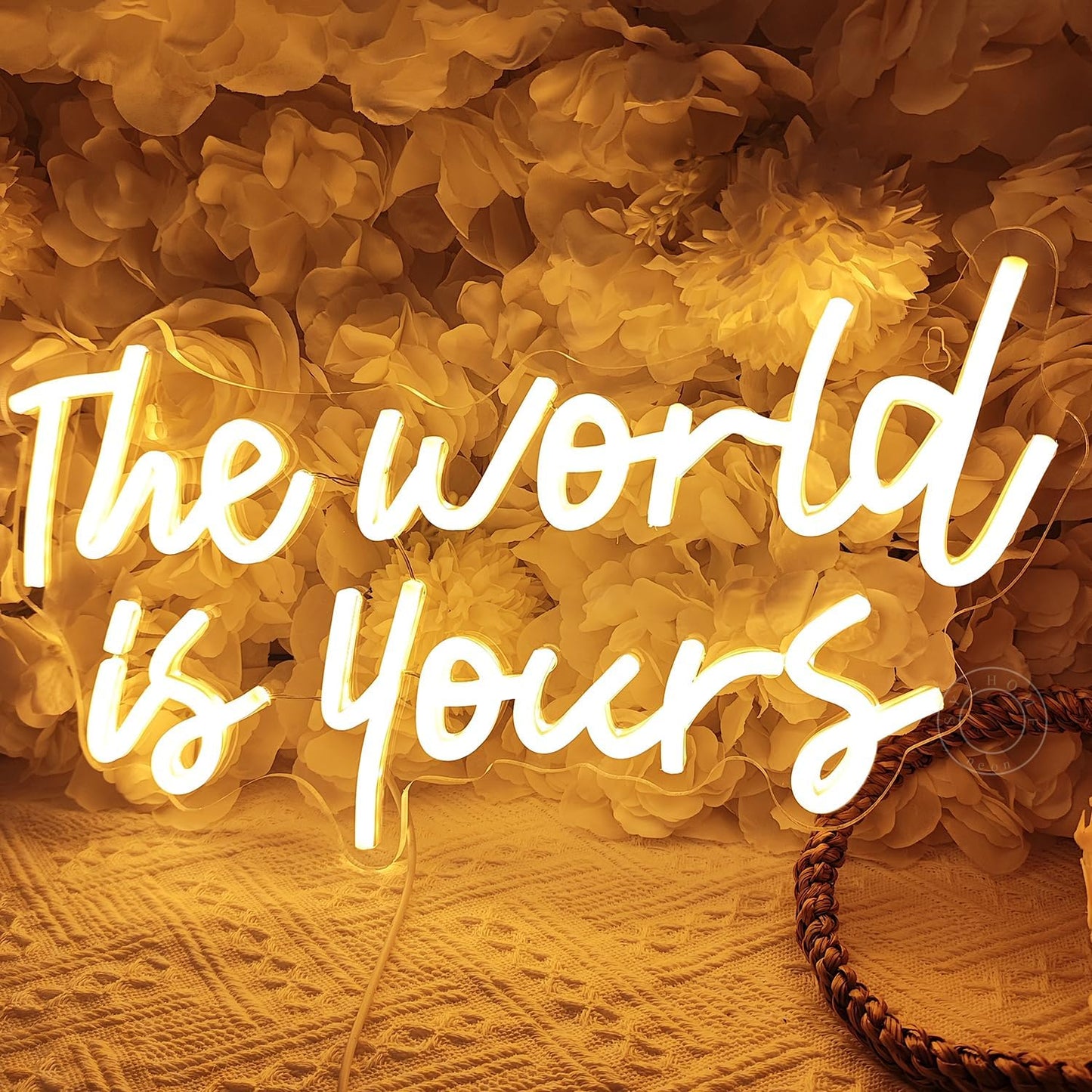 SYLHOME The World Is Yours Led Neon Light Sign Cool Bedroom Game Kids Room Wall Decor Sign Birthday Christmas Party Home Pub Club Bar Inspirational Light Up Sign USB 15.75"X8.46" Warm