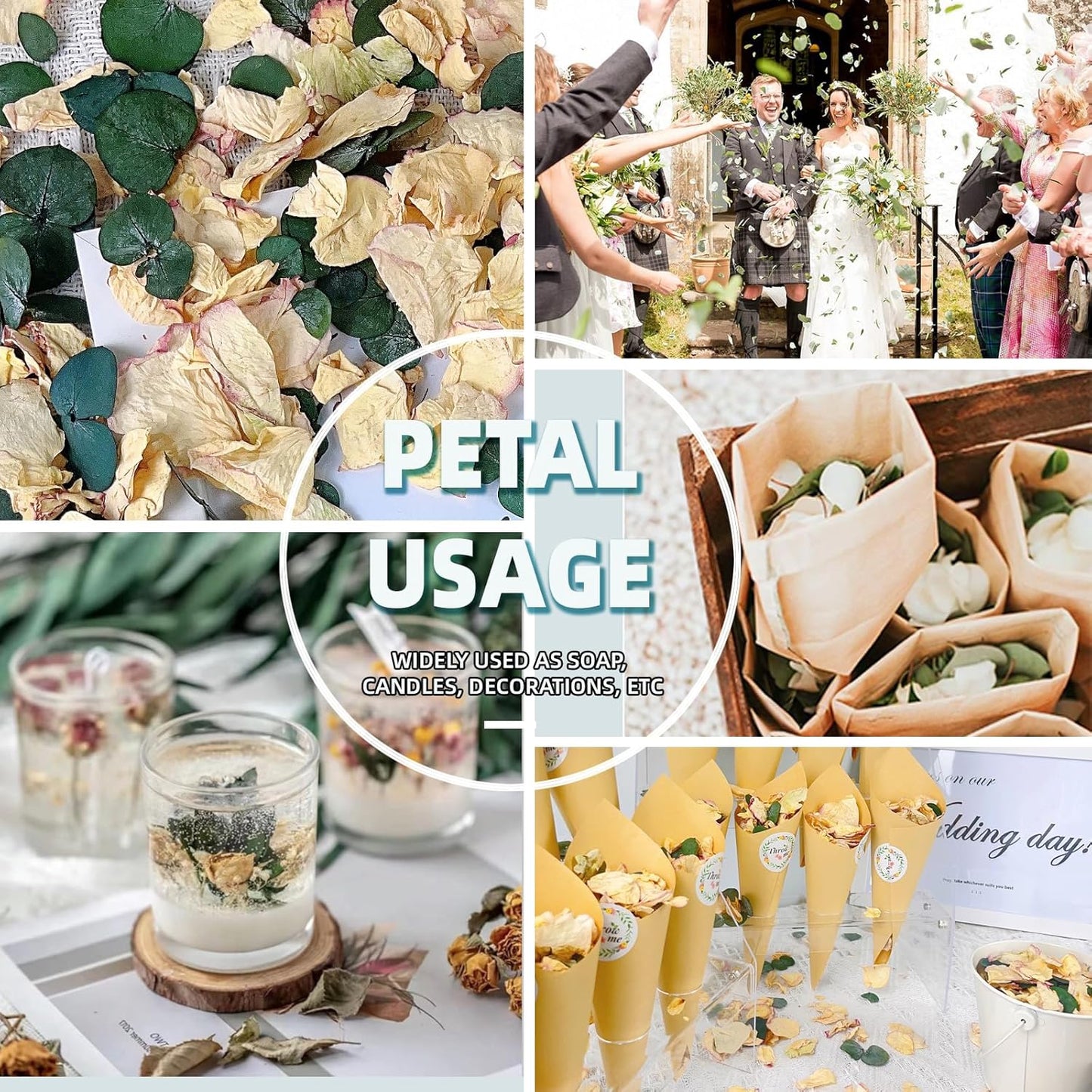 Oning 20+ Cups of Mix Dried Bio Flower Rose Petals Confetti, 2 QT Ivory White Roses & Eucalyptus Leaves, Real Petals for Wedding Parties Romantic Gifts