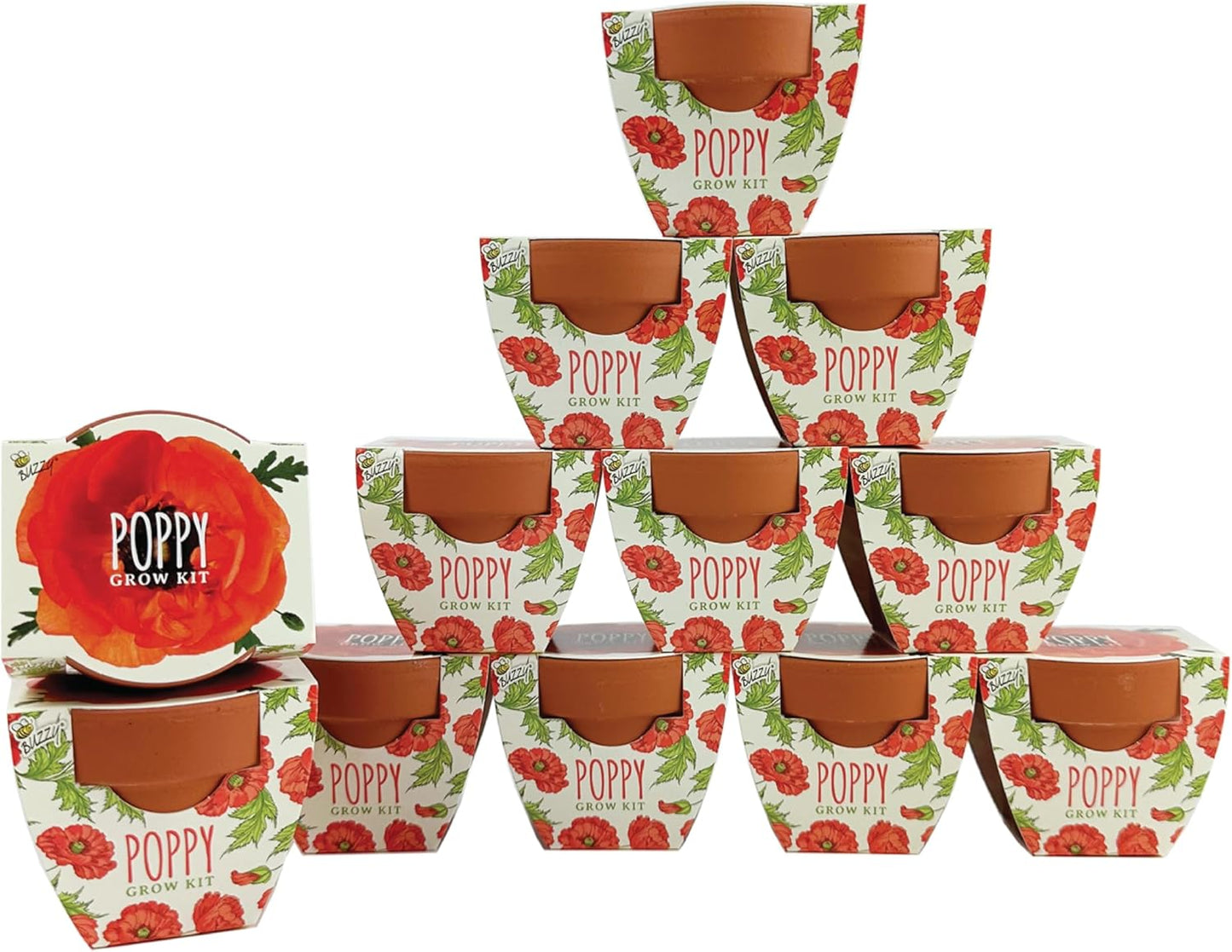 BUZZY Seeds 12-Pack Poppy Grow Kit – Mini Terracotta Pots with Poppy Seeds and Growing Medium – Bulk Gardening Gifts, Wedding Favors, Classroom Activities, and Party Favor Flower Kits