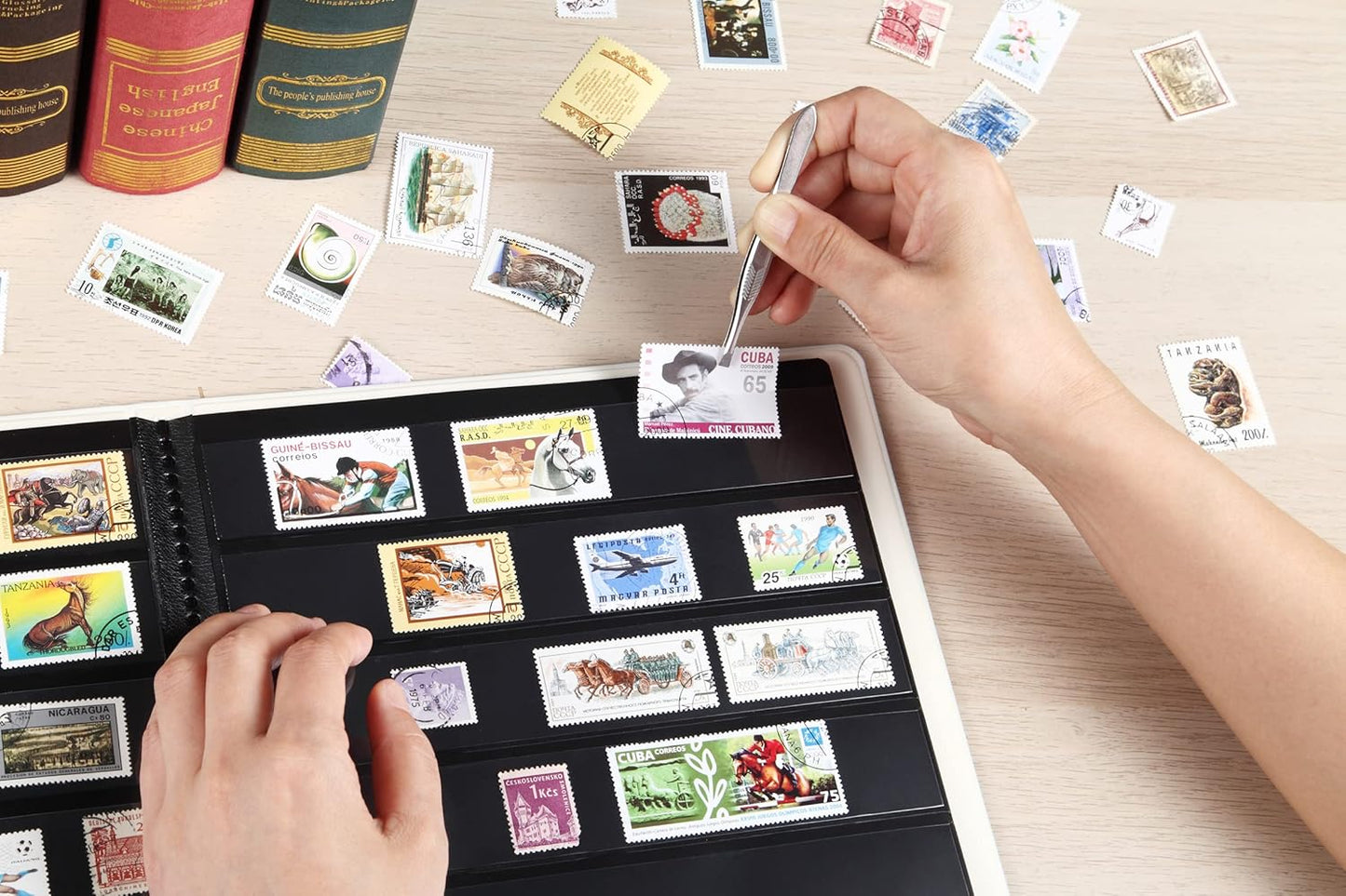 MUDOR Stamp Collecting Album, 4 Rows Pockets Book for Collectors, 10 Sheets Stockbook