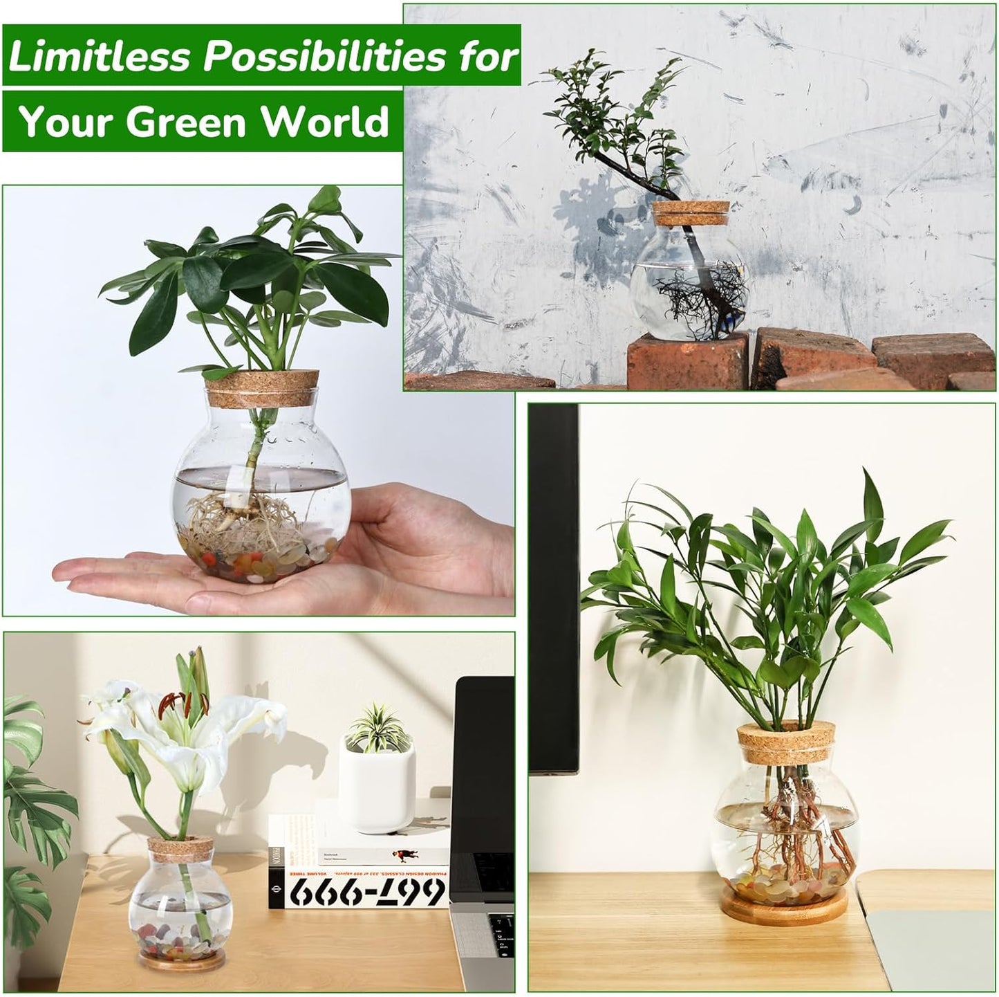 Propagation Station, Larger Capacity Ball Vase with Base for Hydroponic Plants, Home/Office Decor & Gift for Plant Lovers, 2pcs Glass Terrariums