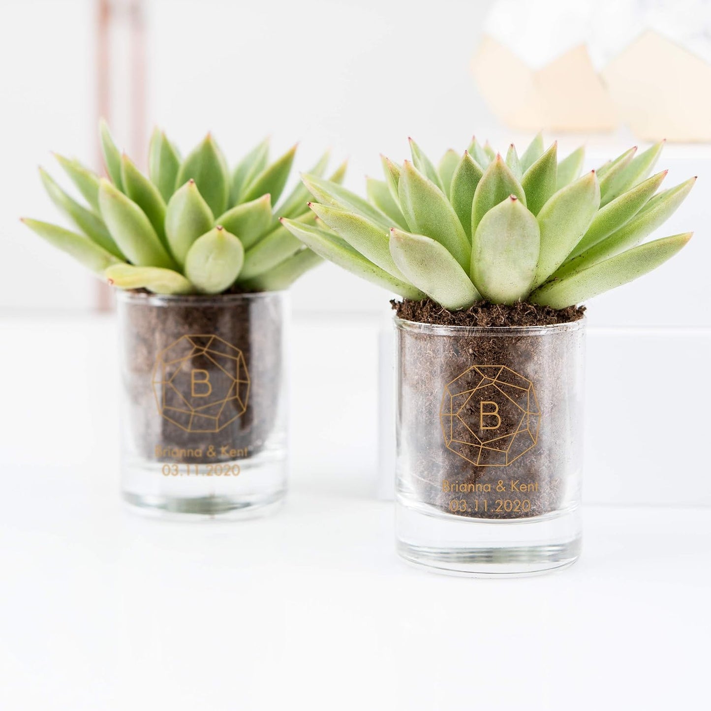 WEDDINGSTAR Personalized 2.75oz Shot Glass Customizable Full Color Print - 96 pack