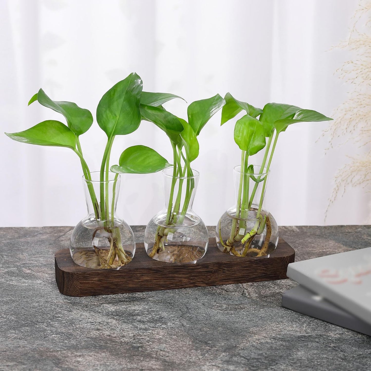 YIBOT Propagation Stations,Plant Propagation Vase,Desk Plant Terrarium with Retro Wooden Stand,Plant Lover Gifts for Women for Hydroponics Plants Home Garden Wedding Decor(3 Vase)