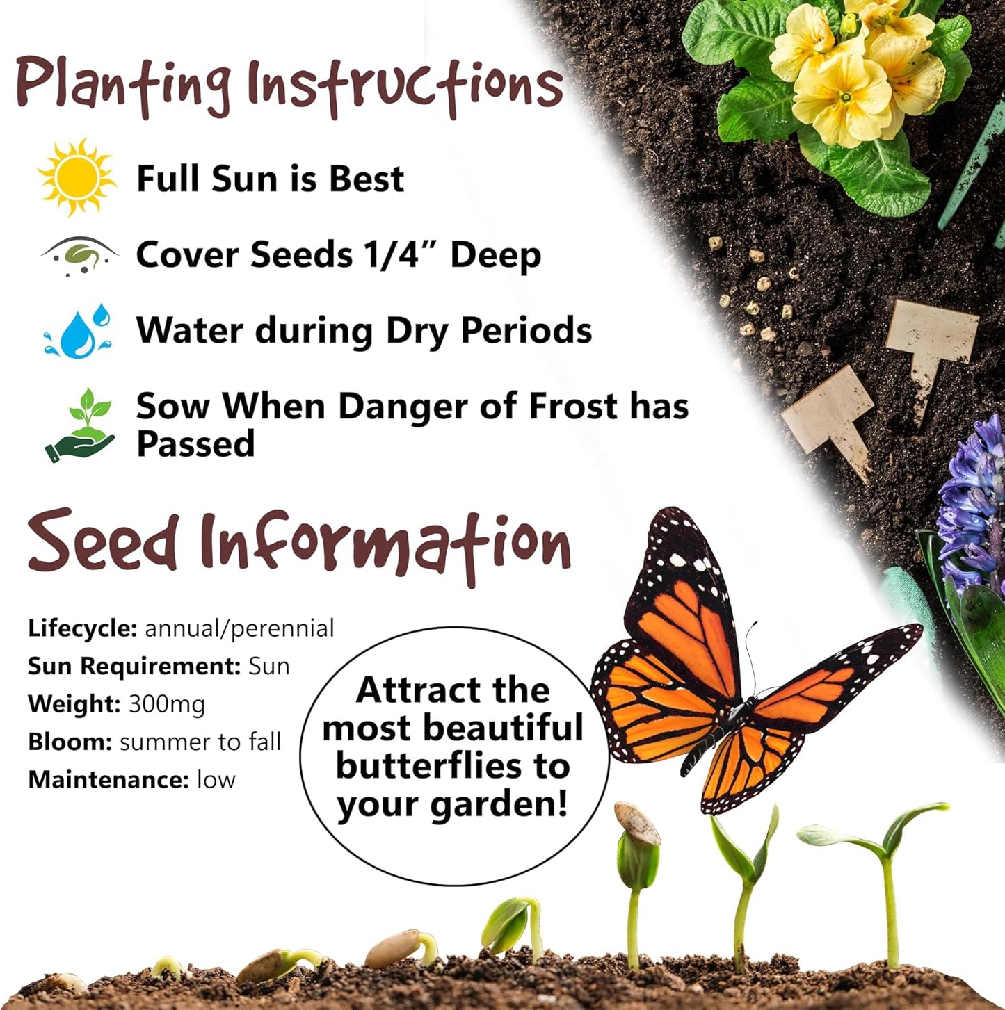 Thank You Seed Favors | 20 Packets | Pre-Filled | Show Thanks and Gratitude | Gender Neutral | Bridal Showers, Weddings, Baby Showers, Celebration of Life, Birthday, Memorial, Remembrance