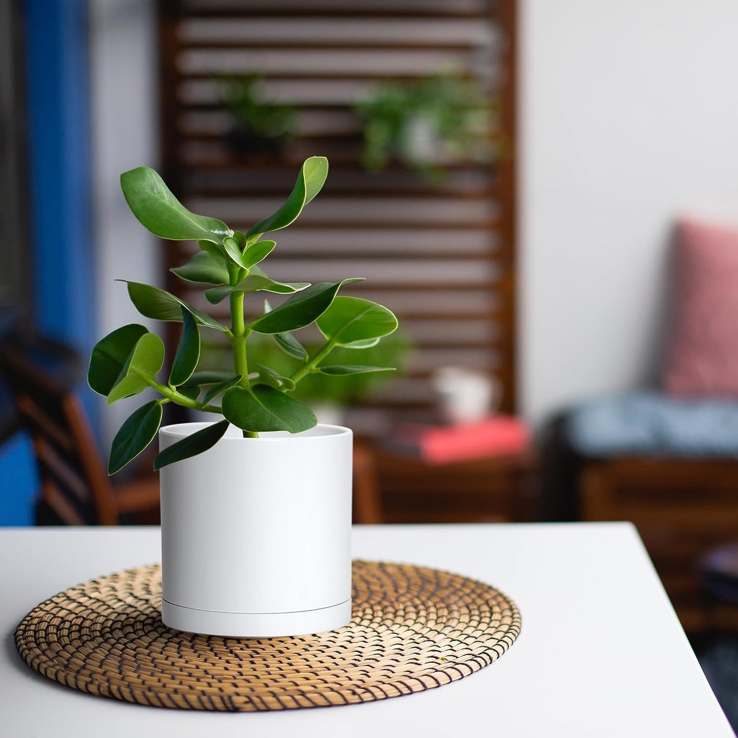 D'vine Dev 4 Pack 5 Inch Modern Plastic Plant Pots, Small Garden Planters for Plant with Drainage Holes and Saucers, White Color, 74-Z-G-2