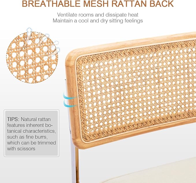Zesthouse Natural Rattan Dining Chairs Set of 6, Mid Century Cane Dining Room - Image 3