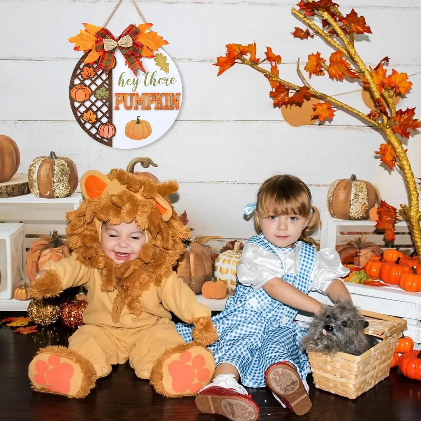 CHDITB Hey There Pumpkin Front Door Sign Wreath(12"x12"), Wooden 3D Hello Fall Autumn Decoration Wall Hanging, Rustic Welcome Home Decor Hanger for Porch Outdoor Thanksgiving