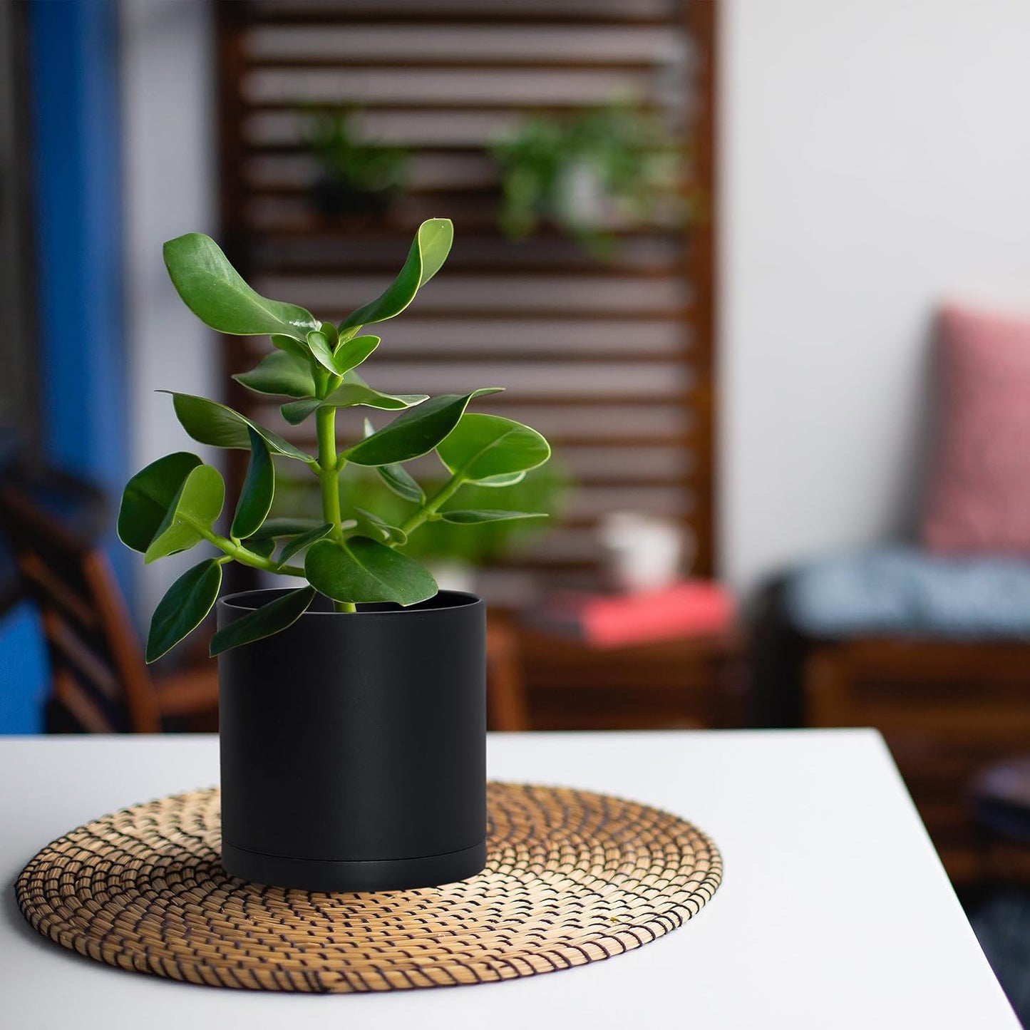 D'vine Dev 4 Pack 5 Inch Modern Plastic Plant Pots, Small Garden Planters for Plant with Drainage Holes and Saucers, Black Color, 74-Y-G-2