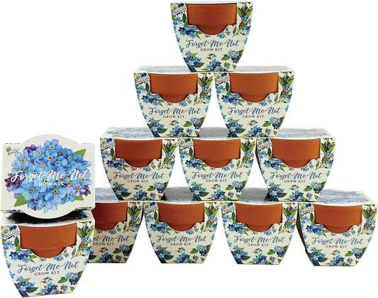 BUZZY Seeds Mini Terracotta Pots 12-Pack Daydream Forget-Me-Not Flowers, All-in-One Seed Starter Kit for Kids and Adults, Indoor Outdoor Gardening Gift, Wedding Favors, Seeds for Planting Flowers
