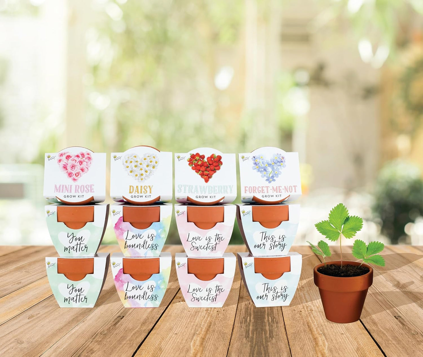 BUZZY Seeds Terracotta Mini Grow Pots Flower Plant Starter Kit – Love Collection Assorted 12-Pack – Indoor DIY Garden Kit – Perfect Wedding Favors, Bridal Shower Gifts & Gardening Gifts