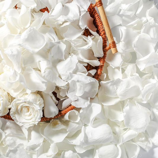 Real Dried Ivory White Rose Petals, Frozen Preserved Petals for, Wedding Party Decorations, Bio Confetti, Table Centerpieces, Bridal Shower, 1.58 oz / 45 g