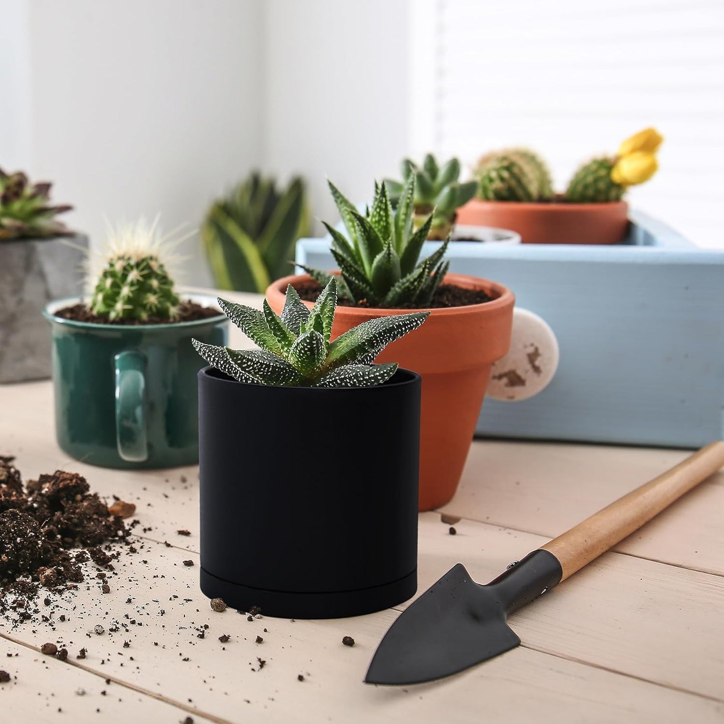 D'vine Dev 18 Pack 2.5 Inch Mini Plastic Plant Pots, Small Garden Planters for Plant with Drainage Holes and Saucers, Black Color, 74-Y-B-5