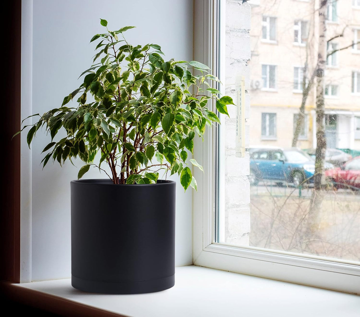 D'vine Dev 2 Pack 10 Inch Modern Plastic Plant Pots, Cylindrical Garden Planters for Plants with Drainage Holes and Saucers, Black, 74-Y-N-1