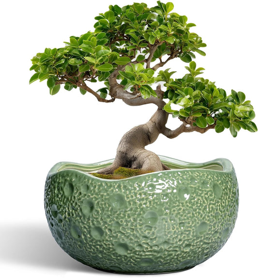 Ceramic Pots for Plants - 13 Inch Large Bonsai Pots Indoor Outdoor, Round Plant Pot with Drainage Hole, Decorative Flower Pot, Modern Unique Planters, Patio Decor, Plant Lover Gifts, Green