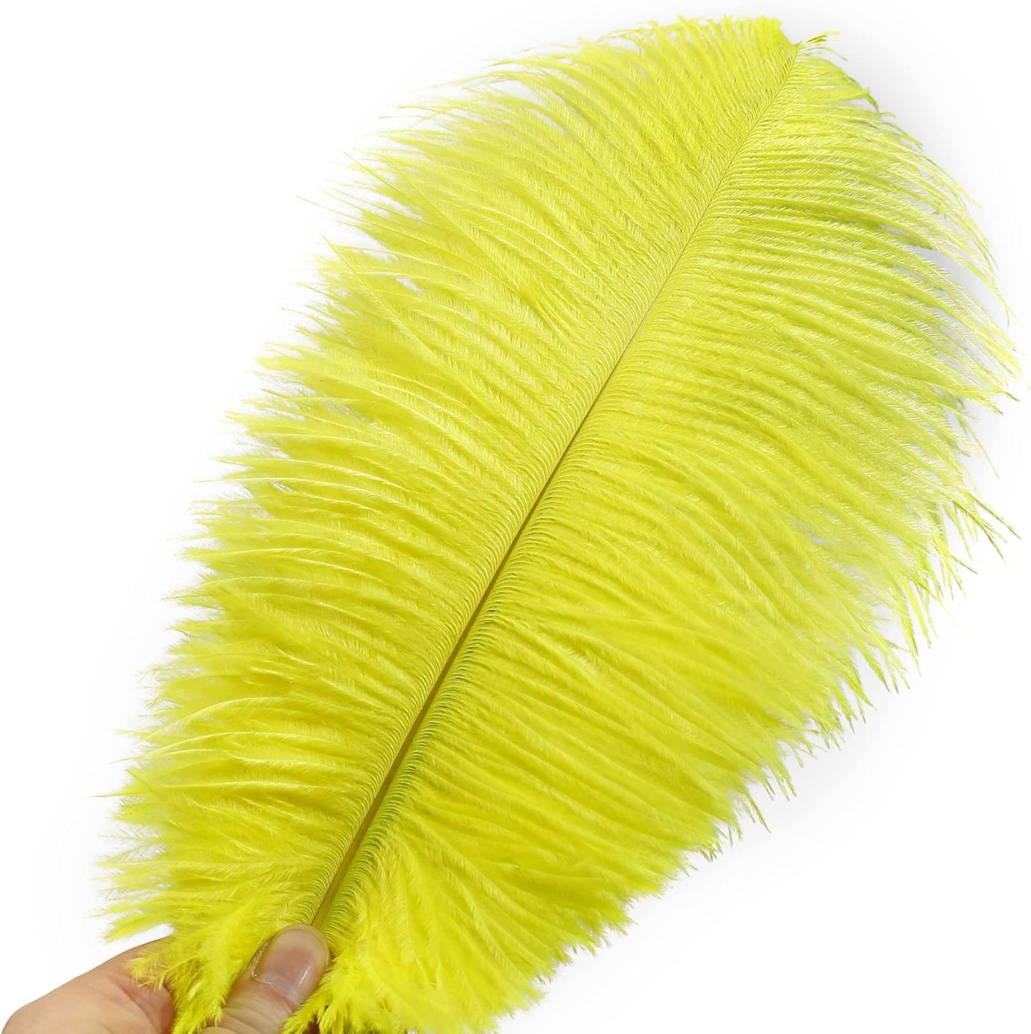 Ballinger Fluorescent Yellow Ostrich Feathers - 24Pcs 8-10inch Feathers Bulk for Vase, Party Centerpieces, Mardi Gras Decorations and Home Decor