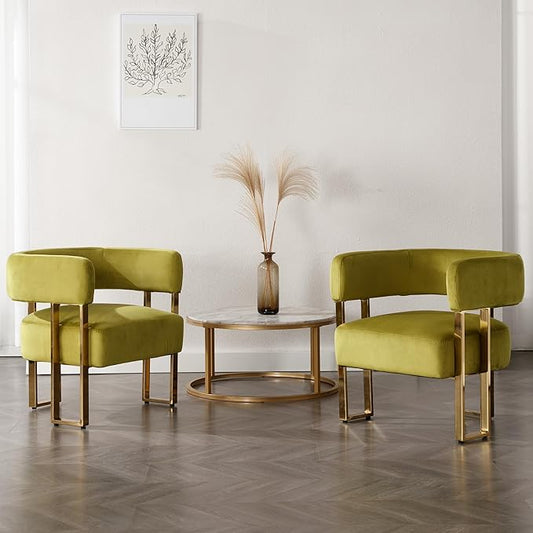 Modern Barrel Accent Chairs Set of 2, Living Room Side Chairs by DMFurniture