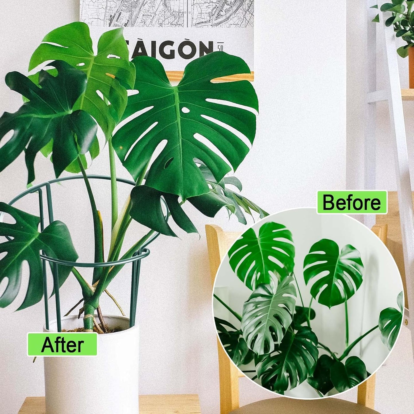 HiGift 12 Pack Plant Stakes for Indoor Plants, Metal Garden Peony Support Cages, Outdoor Plant Supports Ring Prop, Large Plant Stake for Hydrangea,Rose,Flower,Vine,Potted Plants (10" W x 24" H)