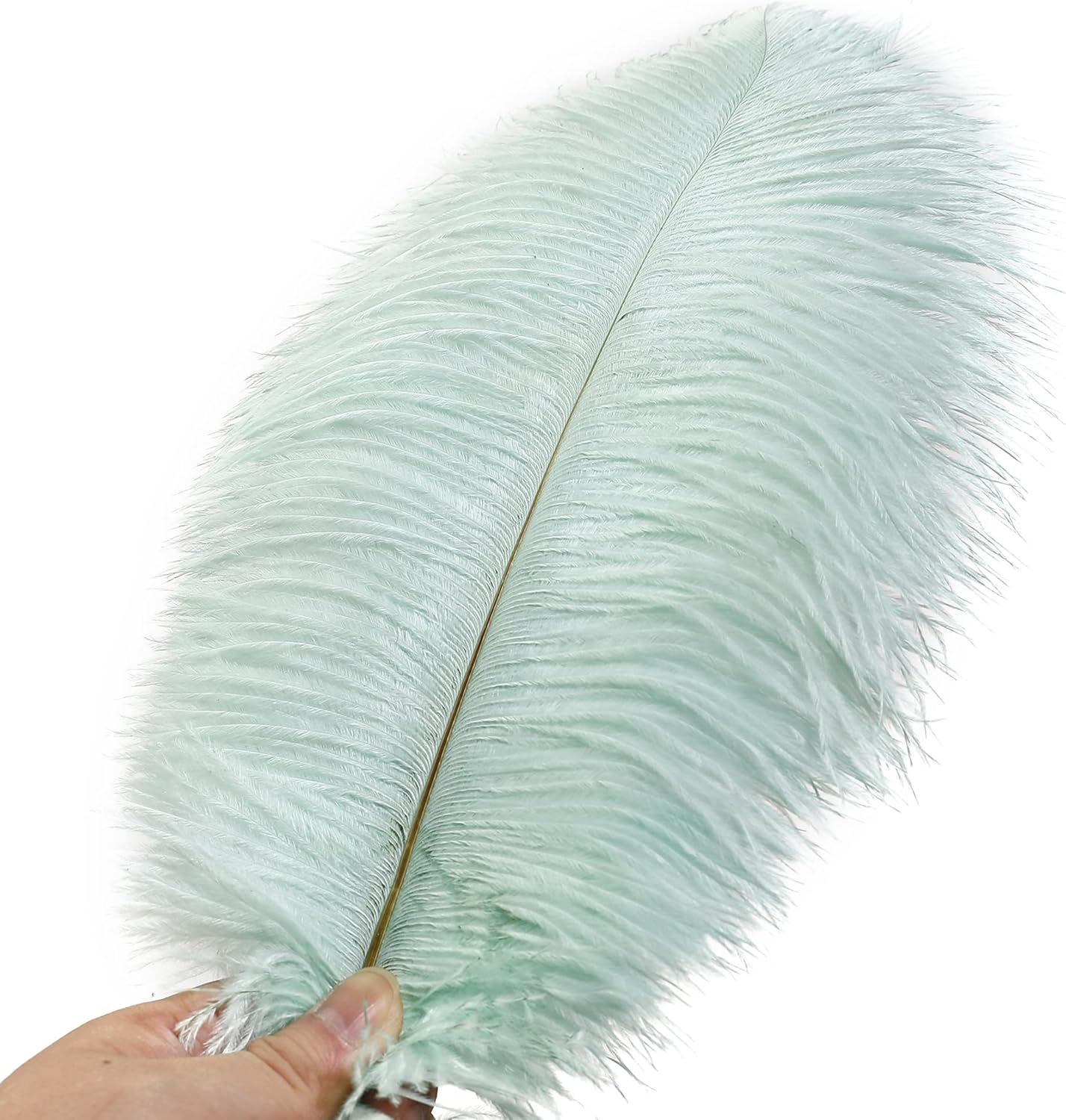 Ballinger Aqua Green Ostrich Feathers - 24pcs 8-10inch Craft Feathers Bulk for Wedding Party Centerpieces Mardi Gras Decorations and Home Decor