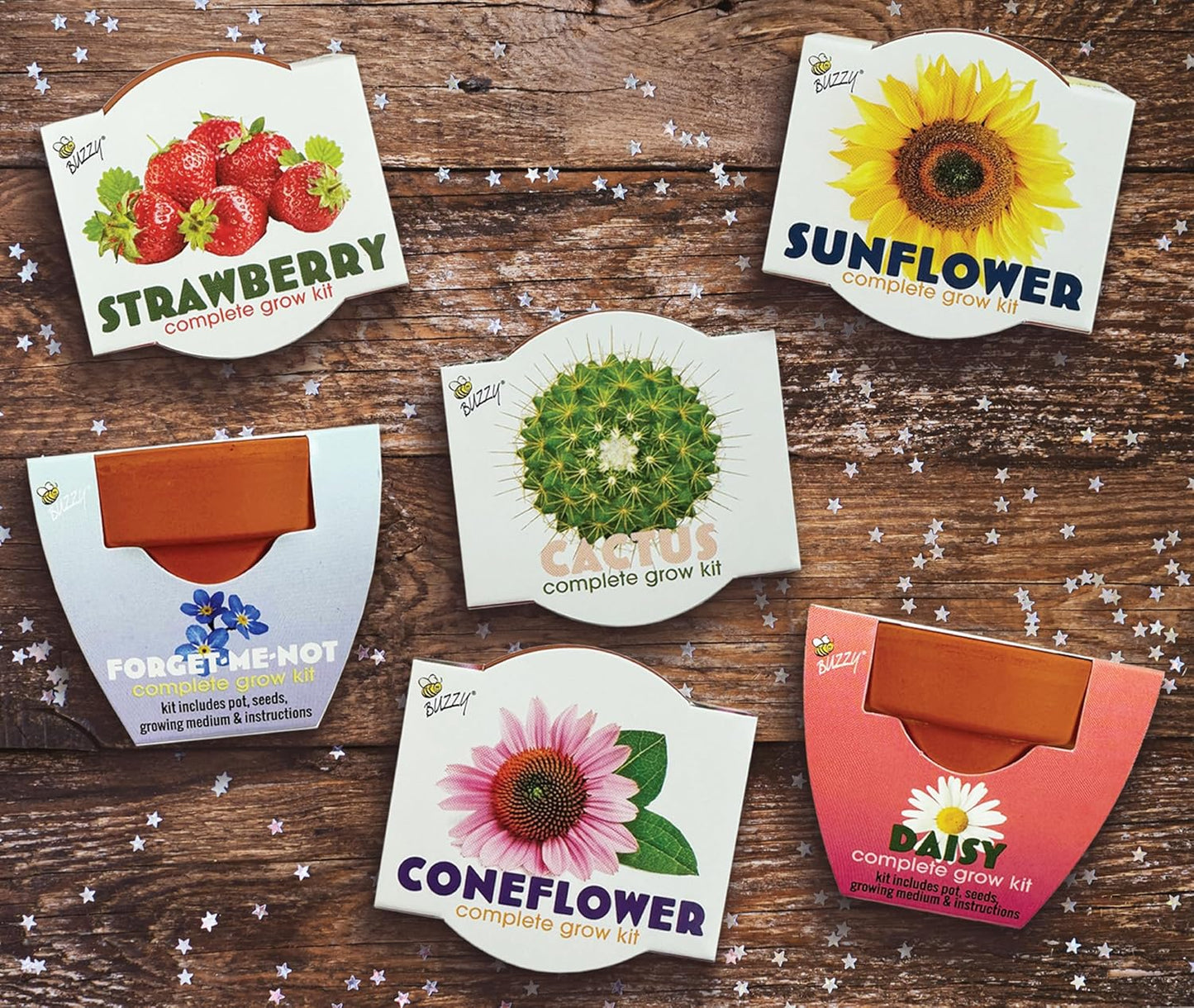 BUZZY Seeds Terracotta Mini Grow Pots | Herb, Plant, Flower Starter Kit for Kids & Adults | Assorted 12-Pack, Classic Collection | Guaranteed to Grow | Best Indoor-Outdoor Gardening Gift