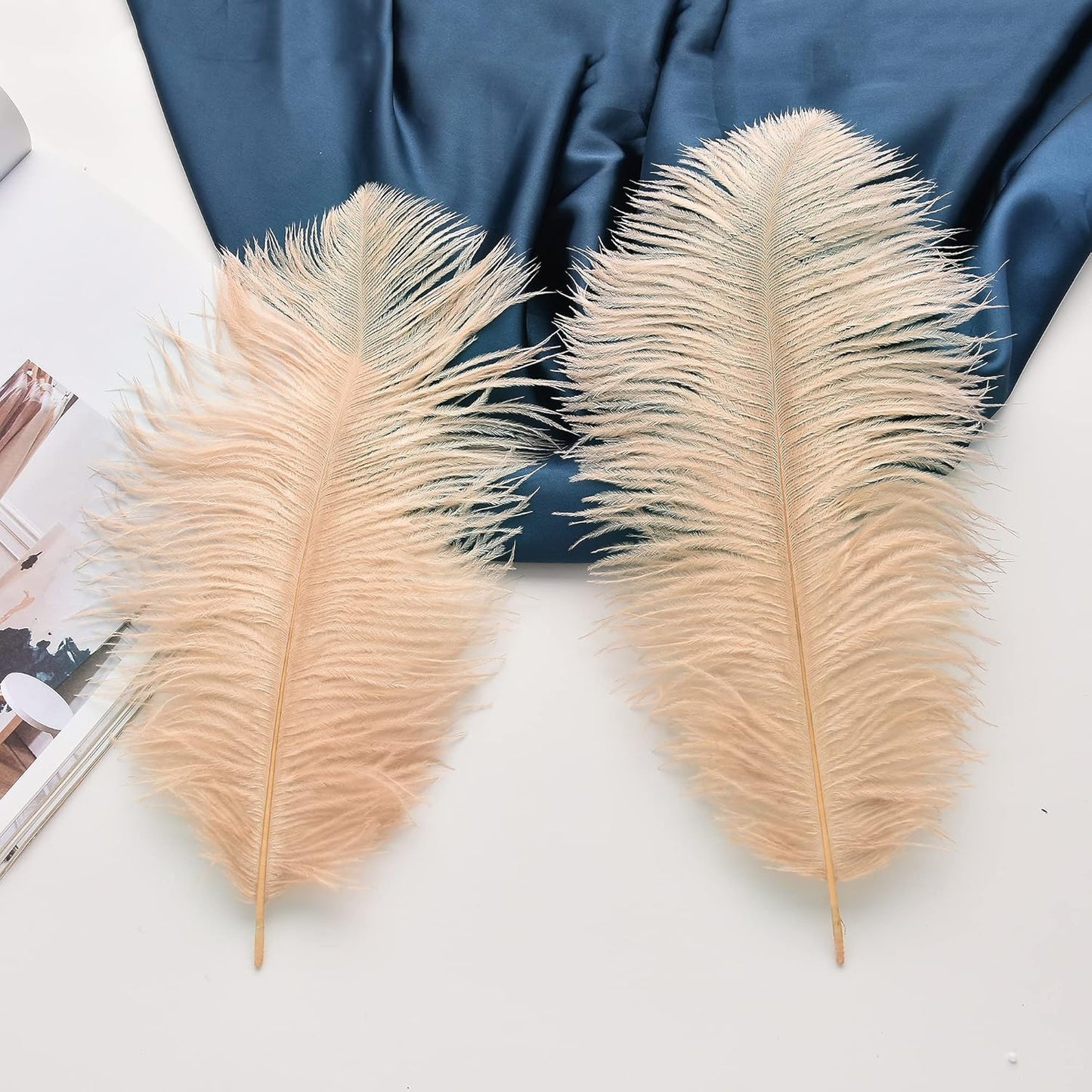 Ballinger Large Champagne Ostrich Feathers - 24pcs 12-14inch Boho Feathers for Vase and Home Decor Wedding Party Centerpieces